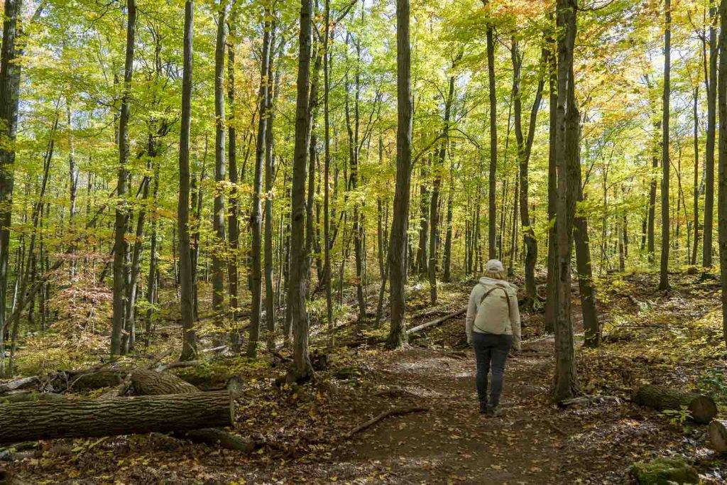 The Top 15 Ontario Hiking Trails