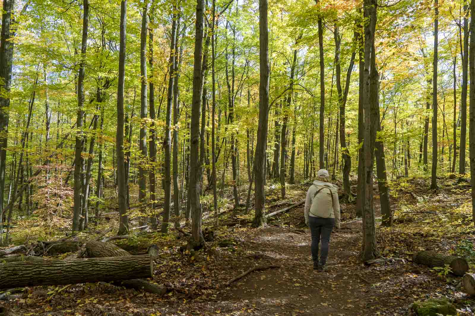 The Top 15 Ontario Hiking Trails TopTravelSky